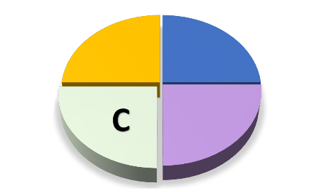 Dimensión C del Análisis DISC - Perfil de Profesional